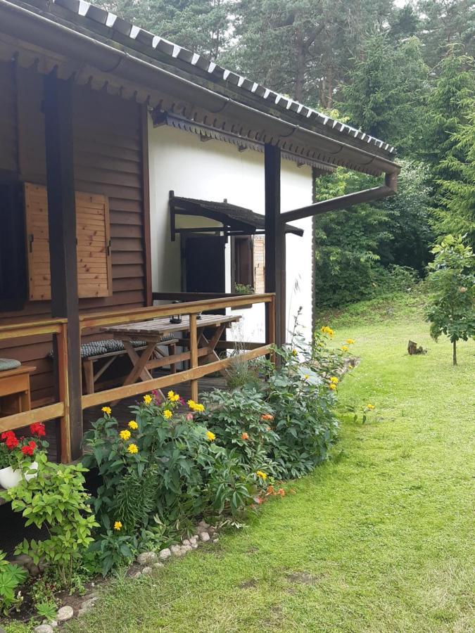 GórznoLesna Polana别墅 外观 照片